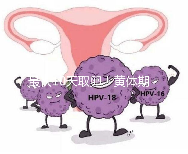 最快10天取卵!黃體期促排需要多長時間看這個指標