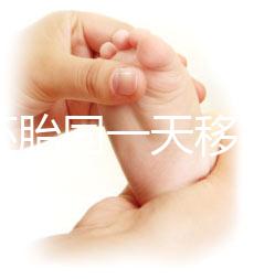 新鮮胚胎同一天移植的植入是否會有早晚，幾天三分鐘就能說清楚