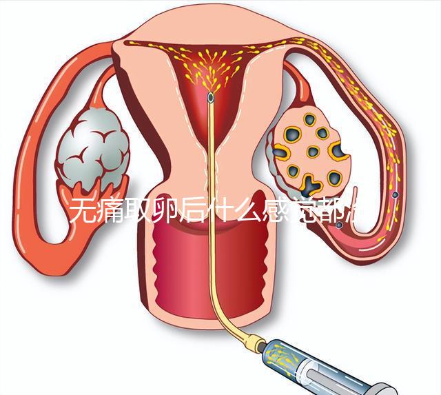 無痛取卵后什么感覺都沒有異常是謠言！只會出現一部分...