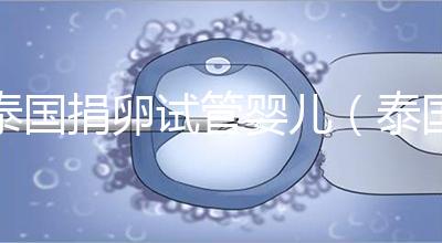 泰國(guó)捐卵試管嬰兒(泰國(guó)捐卵試管嬰兒成功案例分享)