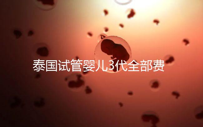 泰國(guó)試管嬰兒3代全部費(fèi)用大概是多少?