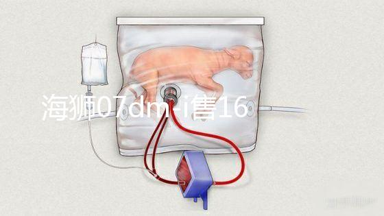 海獅07dm-i售16.98萬元起(海獅2021款)