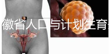 安徽省人口與計劃生育條例出臺 2024年產(chǎn)假被延長