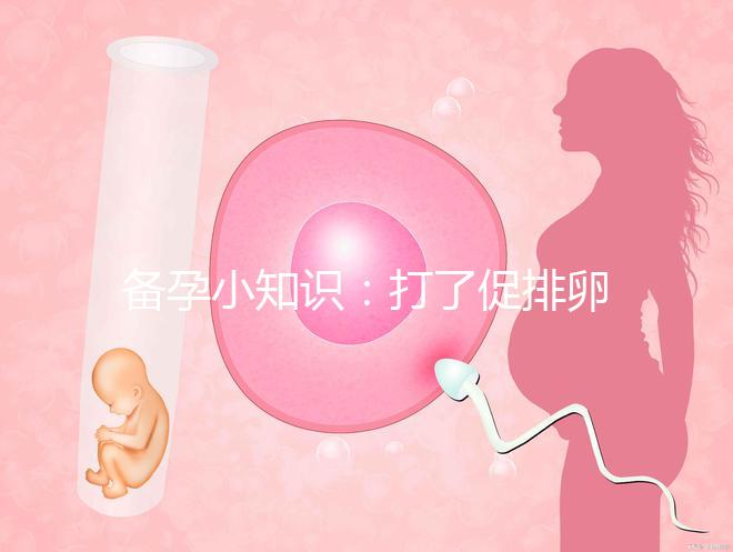 備孕小知識(shí):打了促排卵針多久卵泡會(huì)破呢?