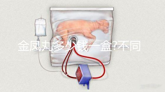 金鳳丸多少錢一盒?不同品牌金鳳丸價格對比