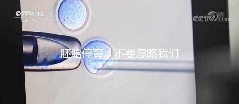 胚胎停育，不要忽略我們身邊的“隱形殺手”
