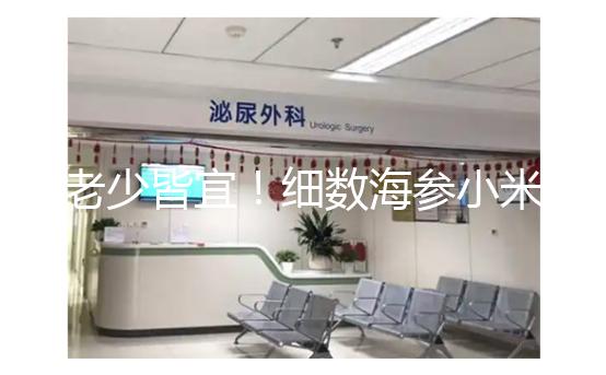 老少皆宜！細數海參小米粥常見的6大功效