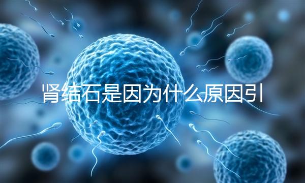 腎結石是因為什么原因引起的(腎結石是因為什么原因引起的19歲)