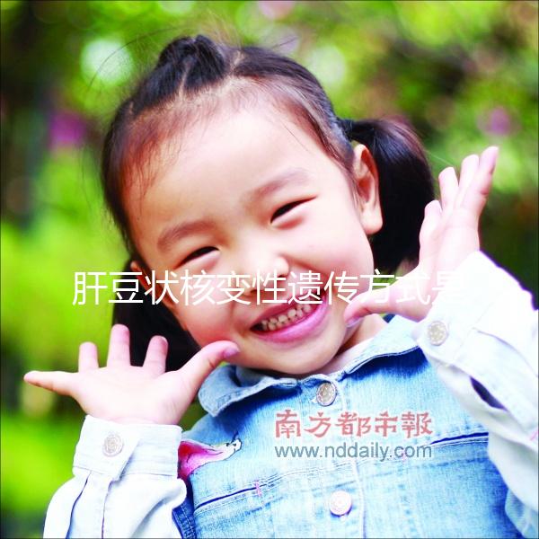 肝豆狀核變性遺傳方式是什么？做三代試管PGD能避免嗎