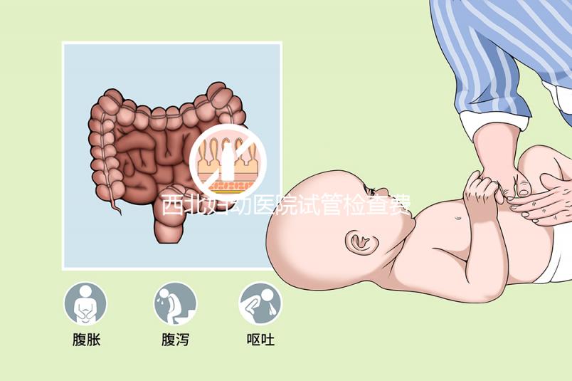 西北婦幼醫院試管檢查費用流出!做完記得來這領報告單