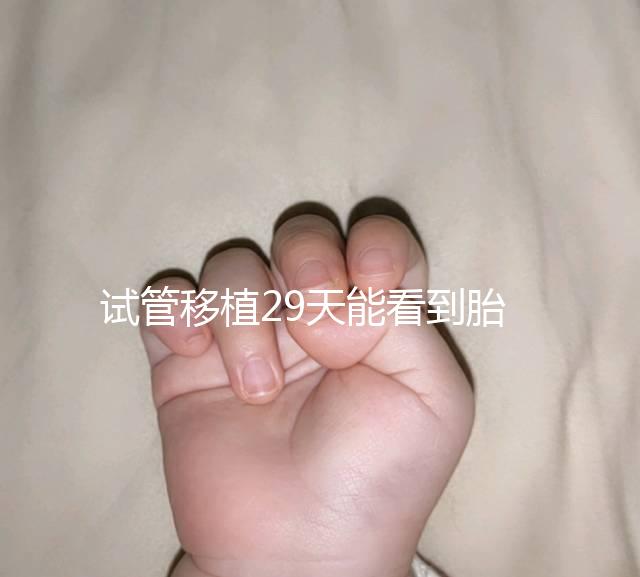 試管移植29天能看到胎心嗎?B超還能看孕囊大小和胎心