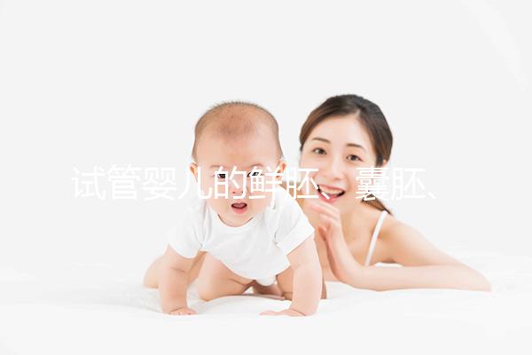 試管嬰兒的鮮胚、囊胚、凍胚，都有說明區別已經成功率