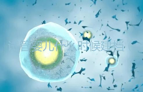 試管嬰兒什么時候建檔（試管建檔當(dāng)天要交多少錢）