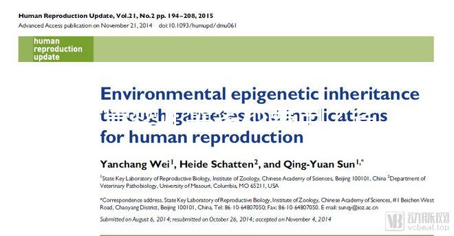 試管嬰兒需多少費(fèi)用？省錢(qián)攻略建議收藏！