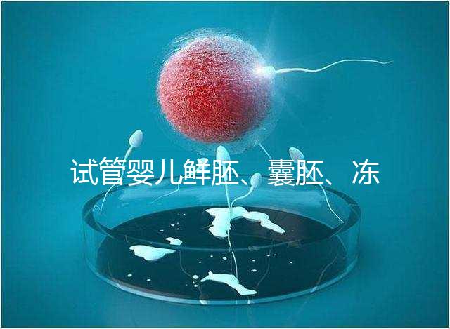 試管嬰兒鮮胚、囊胚、凍胚那個成功率高？