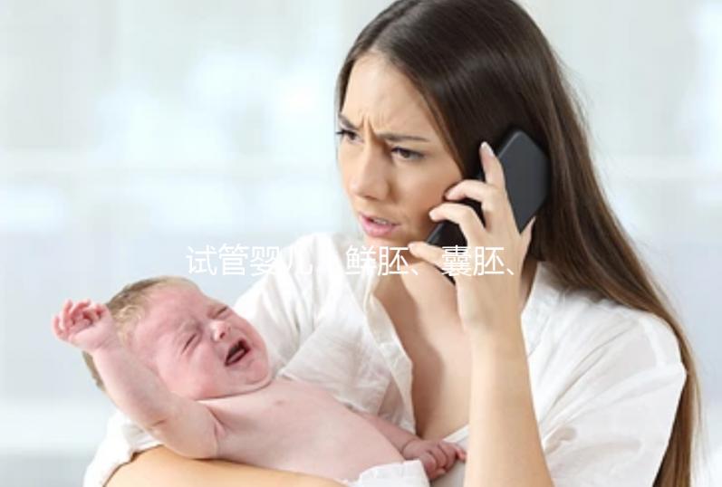 試管嬰兒｜鮮胚、囊胚、凍胚如何選擇？移植前后注意事項(xiàng)