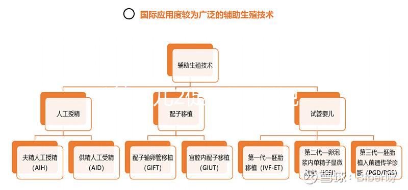 試管嬰兒2促3移,說說5點我的成功懷孕經(jīng)驗