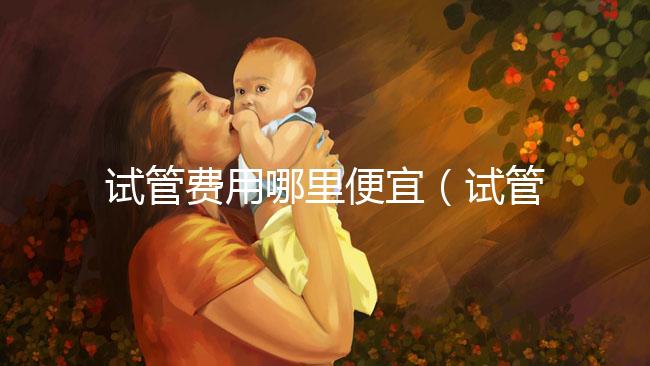 試管費用哪里便宜(試管費用哪里便宜點)