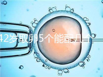 42歲取卵5個(gè)能配幾個(gè)胚胎難說(shuō)，只有2個(gè)許是技術(shù)差導(dǎo)致
