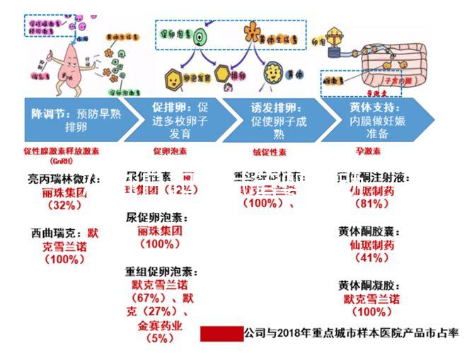 7月1日起,試管嬰兒助孕可醫(yī)保報(bào)銷啦!