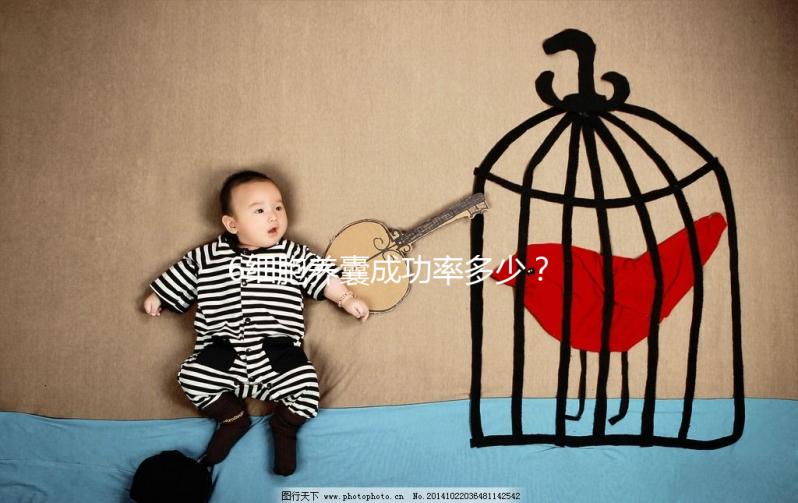 6細胞養囊成功率多少?不應以“質量”論結果