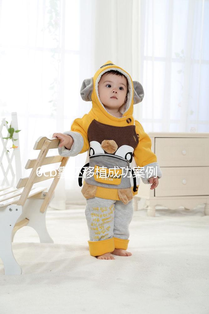 6cb囊胚移植成功案例并不少！過來人分享經驗帶你好孕