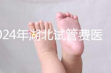 2024年湖北試管費醫療保險可以報銷？專家：時間還沒到？