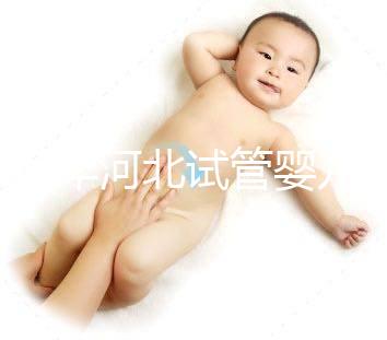 2024年河北試管嬰兒費用可以報銷嗎？補貼金額真的那么大？