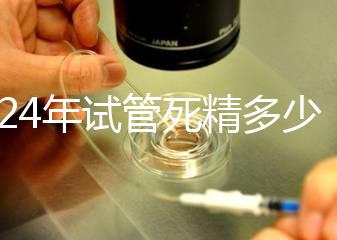 2024年試管死精多少錢？報銷政策和費用都有