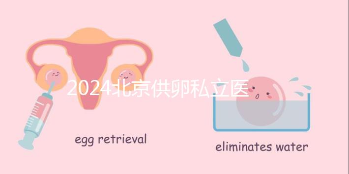 2024北京供卵私立醫(yī)院排行一覽，這三家機構(gòu)竟在名單中