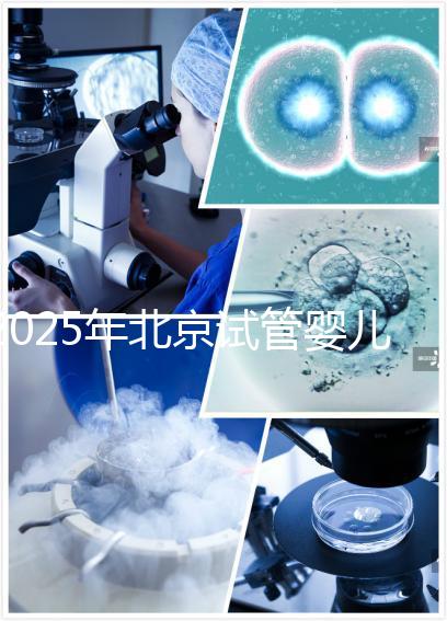 2025年北京試管嬰兒成功價(jià)格揭秘：大約在10萬到15萬元之間！
