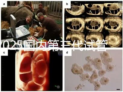 2025國內第三代試管嬰兒醫院排名前十強公布(附地址)