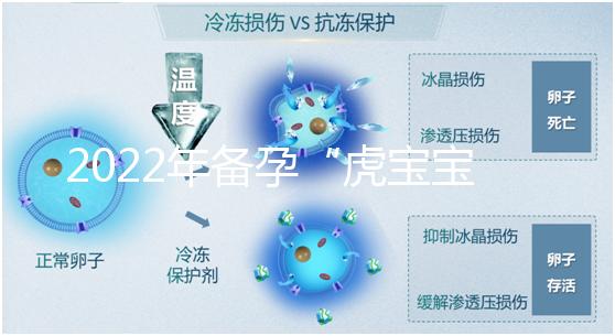 2022年備孕“虎寶寶”時(shí)間表,生孩子選這幾個(gè)月命最好